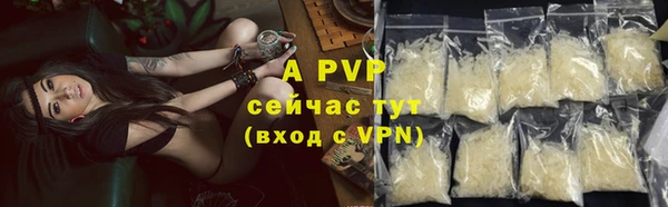 гидра Верхний Тагил