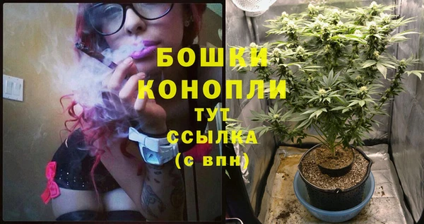 соль ск Бородино
