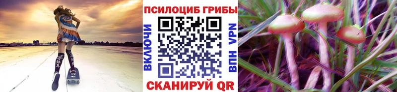 Псилоцибиновые грибы мицелий  Камень-на-Оби 