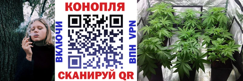 Канабис ГИДРОПОН  где купить наркотик  Камень-на-Оби 
